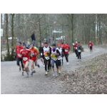 Schweinfurt, am 20.02.2011: Unterfrnkische Meisterschaften im Crosslauf